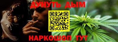 дмт Будённовск