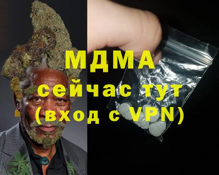 блэк спрут вход  Камышлов  MDMA молли 