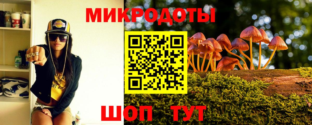 Камышлов  Псилоцибиновые грибы прущие грибы  Вход с VPN 