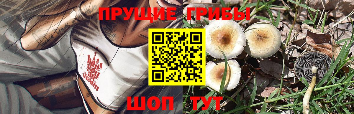 Псилоцибиновые грибы ЛСД Камышлов