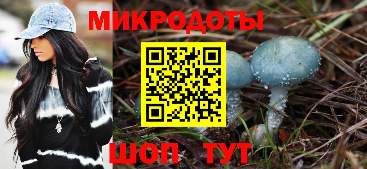 Галлюциногенные грибы Psilocybine cubensis Камышлов